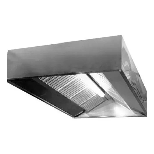 Campana Industrial Cocina Central X Mts Cuadrado Ll. Xavi