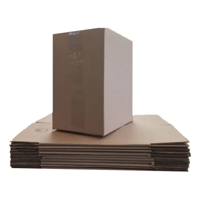 Cajas De Cartón Para 6 Botellas De Salsa Tomate 1l Lisa X 10