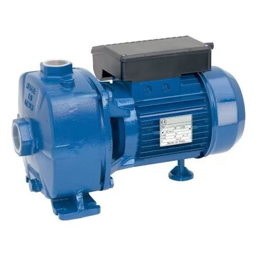 Bomba Centrifuga Doble Impulsor Reggio Ssbj300t Br 3hp 380v