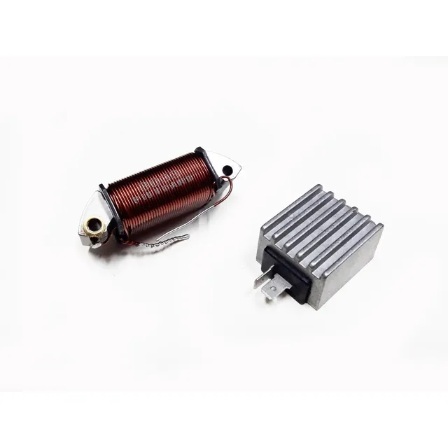 Kit Regulador Y Bobina Suzuki Ax 100 Reforma A 12v En Xero
