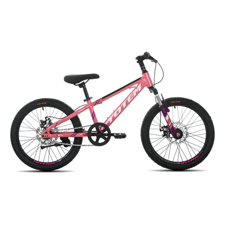 Bicicleta Totem Mtb Aro 20 Modelo Sunshine