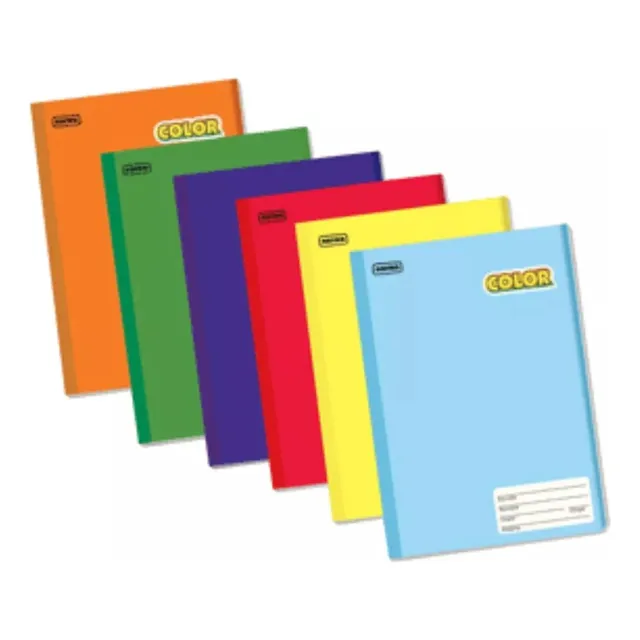 6 Cuadernos Profesional Cosido Norma Color 100 Hojas Color