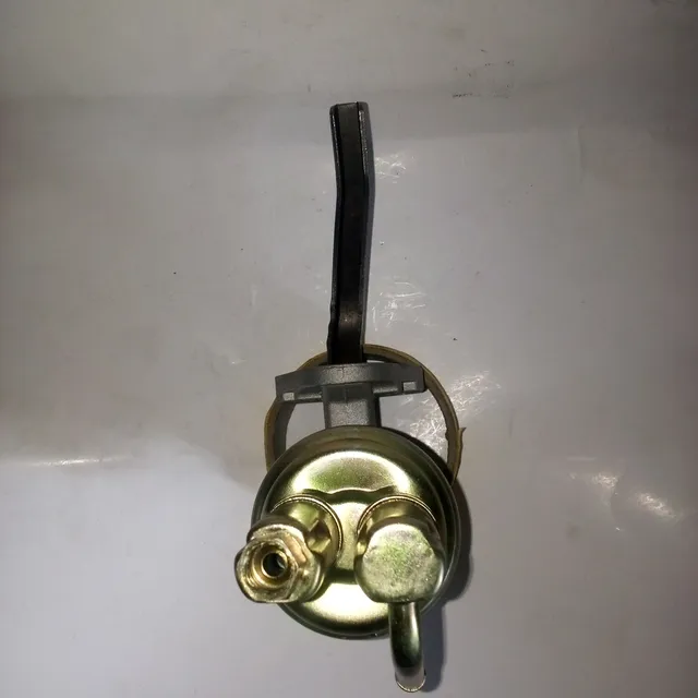Bomba Mecánica De Gasolina Jeep Wagoneer