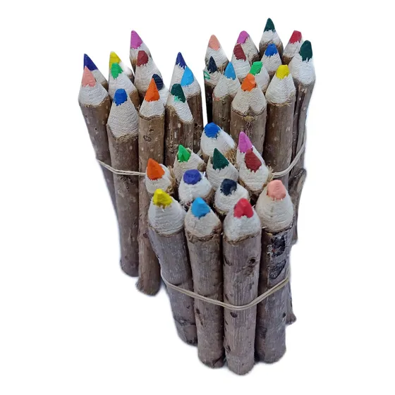 Lapices De Tronco Rusticos X12 Colores Pack2