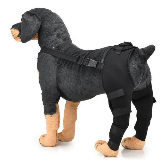 L Protector De Patas Traseras Para Perro Mascota, Rodillera