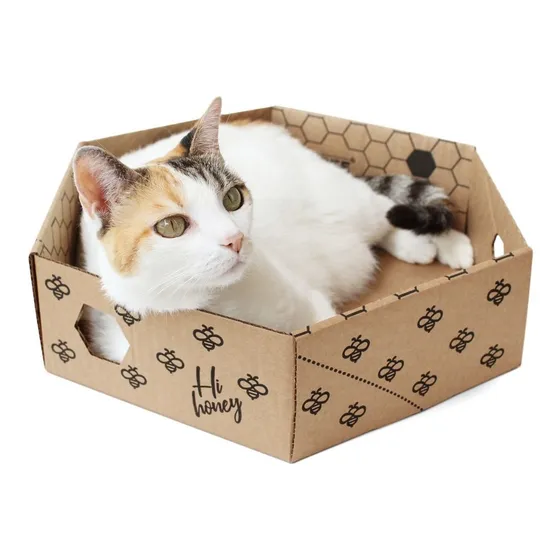 Caixa De Papelão Kraft Para Gatos Beebox Gatton