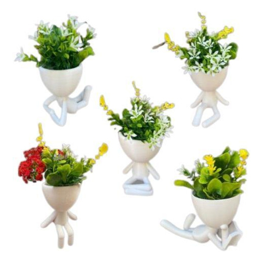 Kit 5 Vasinhos Suculentas Robert Bbb Bob Planta Decoração Kit 5 Vasinhos Suculentas Robert Bbb Bob Planta Decoração