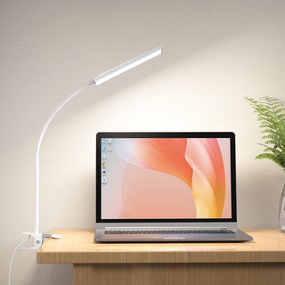Lámpara De Escritorio Led Raoyi, 5w Usb Clip En Luz Lámpara Lámpara De Escritorio Led Raoyi, 5w Usb Clip En Luz Lámpara