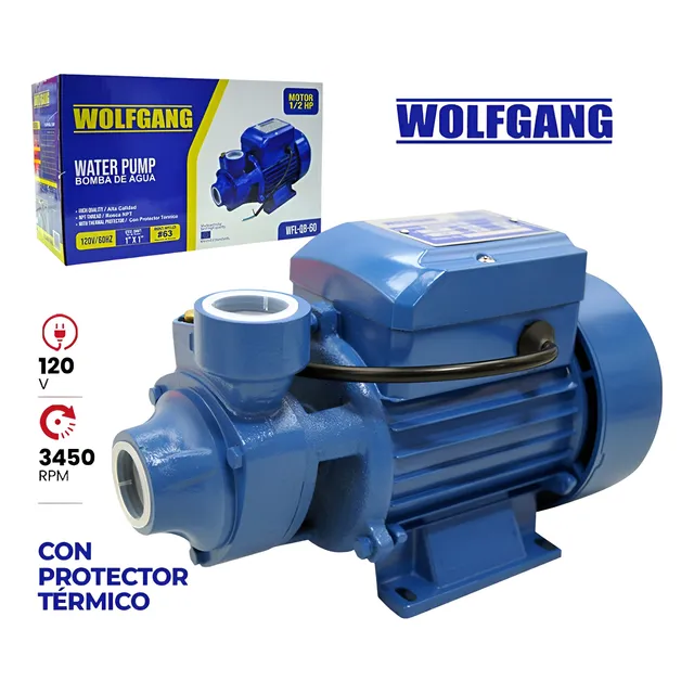 Bomba De Agua 1/2 Hp Qb60 110v