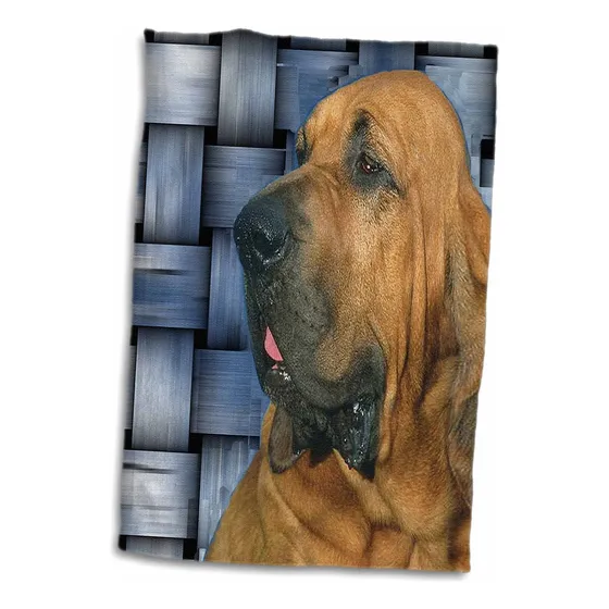 Perro Sabueso Â Toalla