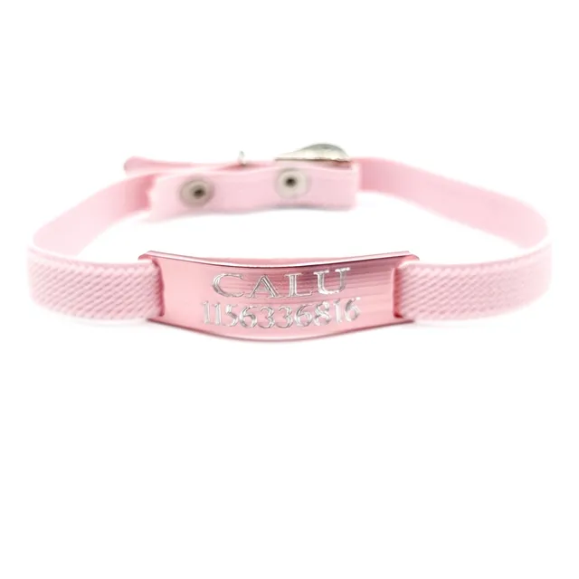 Chapita Gato Aluminio + Collar Reforzado Elastizado Rosa