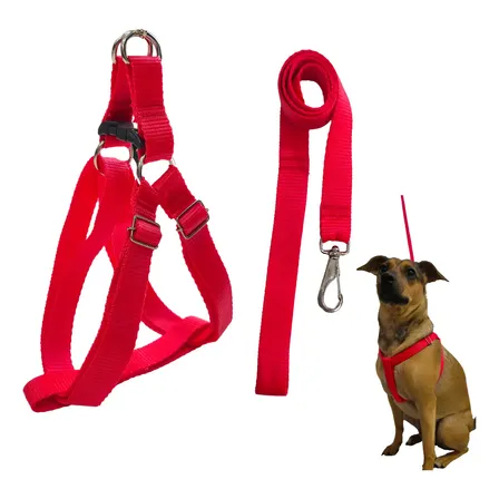 Coleira Peitoral Com Guia Para Cachorro Ajustável Resistente