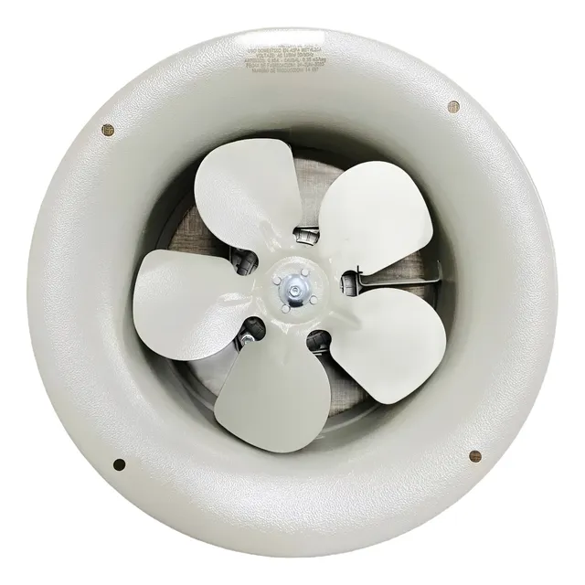 Extractor De Aire Industrial 10 Pulgadas 110v Aspa Metálica