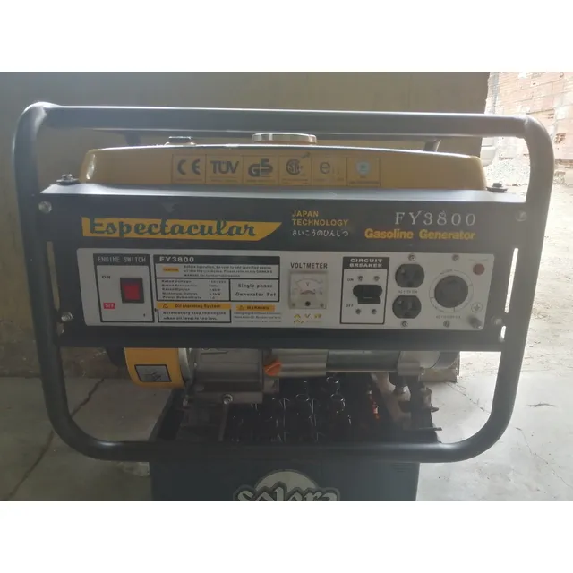 Planta Eléctrica 3800 W Corriente 110 V Y 220 V