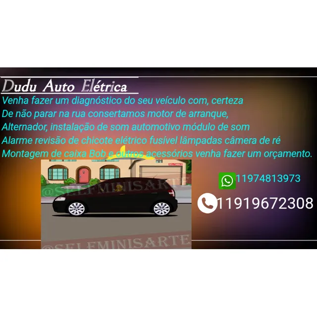 Dudu Auto Elétrica 