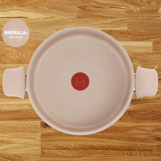 Olla De 24 Cm T-fal Delight Con Antiadherente, G2934602 Beige
