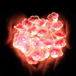 Lámpara De Flor De Cerezo De 2 M Y 20 Led Adecuada Para Deco Lámpara De Flor De Cerezo De 2 M Y 20 Led Adecuada Para Deco