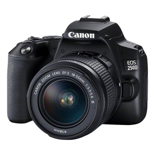 Camara Dslr Canon Eos 250d Con Lente 18-55 Mm Reflex Negro Camara Dslr Canon Eos 250d Con Lente 18-55 Mm Reflex Negro