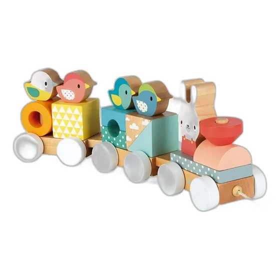 Janod 2en1 Tren De Madera Puro Pullalong Con Apilador De Act
