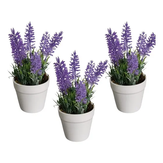 3 Mini Vasos Lembrancinhas Suculenta Planta Lavandas Casa