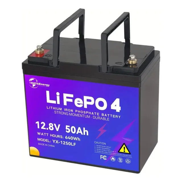 Bateria De Litio Ciclo Profundo Lifepo4 50ah Con Bms