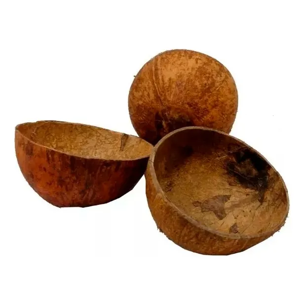 Coité De Coco Sem Base Umbanda - Candomblé Cuia De Baiano 