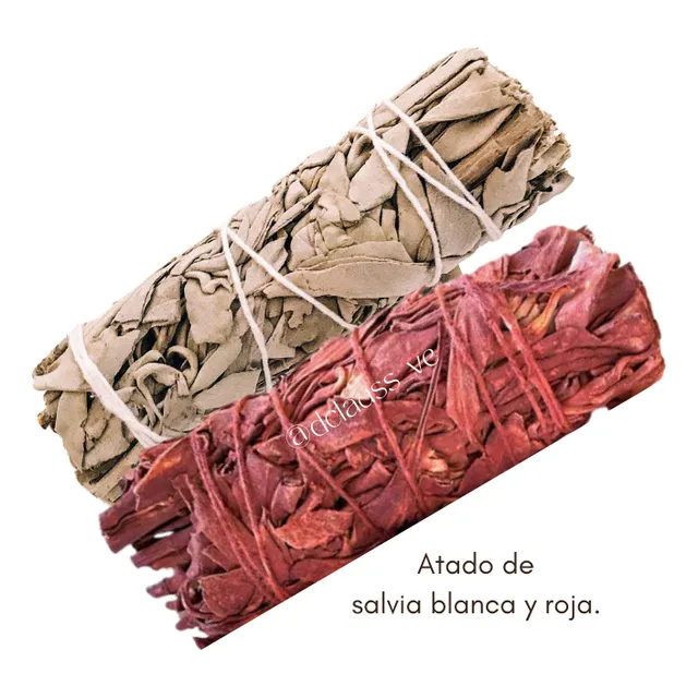 Salvia Blanca Y Roja