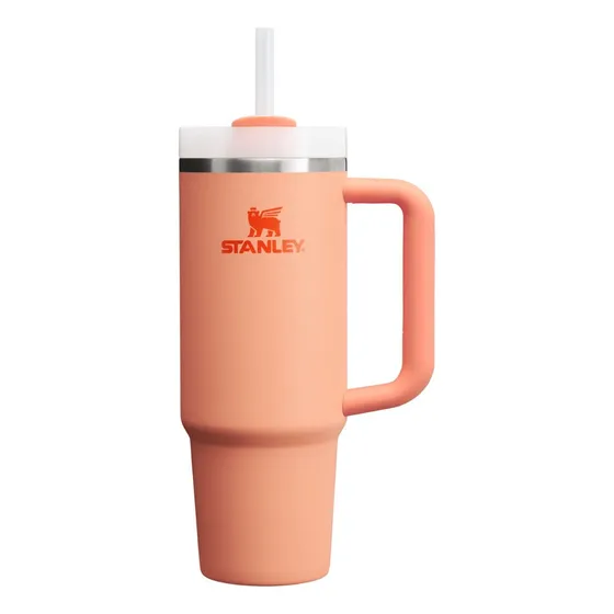 Vaso Stanley Quencher 887 Ml Edición Limitada H2.0