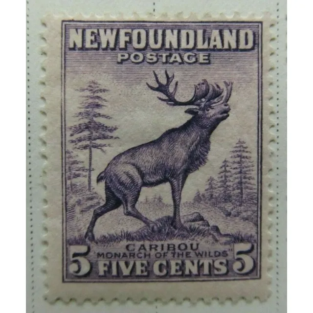 Estampillas Terranova / Newfoundland 1932 - Caribú