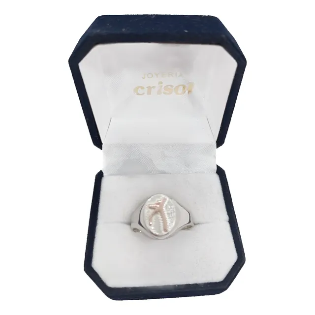 Anillo Plata Y Oro Profesor Educacion Fisica Plateado Y Dorado 23