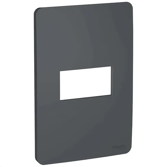 Placa de espejo Orion Schneider Electric 4x2 con enchufe de asiento individual Stella, color negro