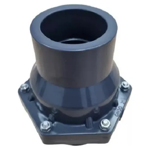 Valvula Check Pvc  2 PuLG