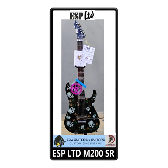 Guitarra Esp Ltd M200 Sr(skull & Roses)