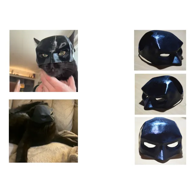 Máscara Para Gatos Adultos Color Negro De Batman