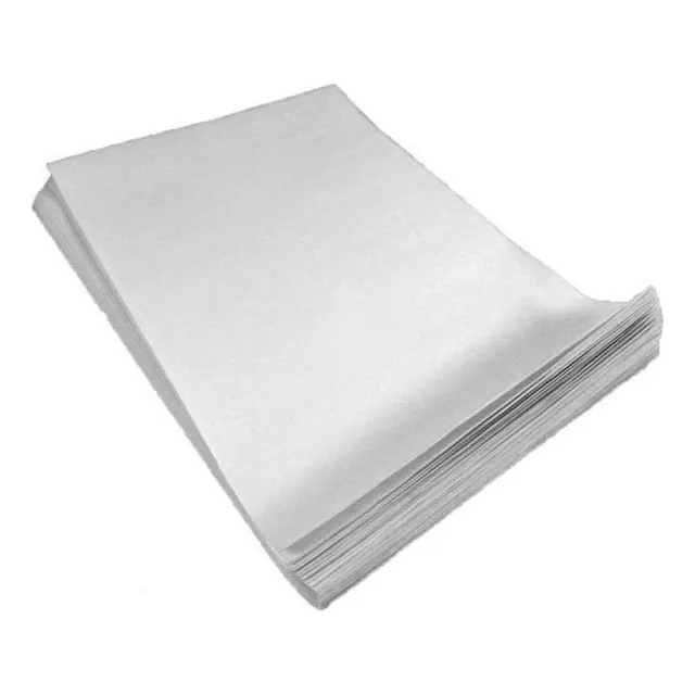 Papel Fotográfico Satin 500h Carta Kronaline Fotografia Foto Color Blanco