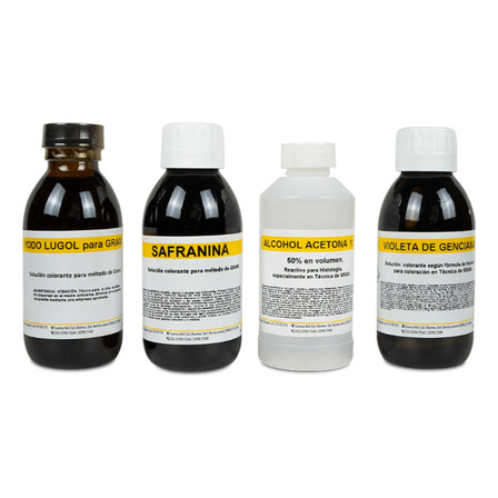 Kit Tincion Gram Para Bacterias 125ml Golden Bell Sin Tono Kit Tincion Gram Para Bacterias 125ml Golden Bell Sin Tono