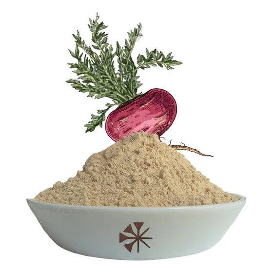 Maca Roja En Polvo 100g