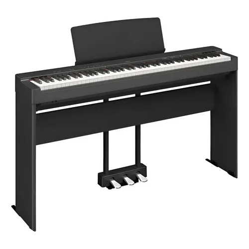 Piano Digital Roland Rp-102 88 Teclas C/ Estante Preto 110V