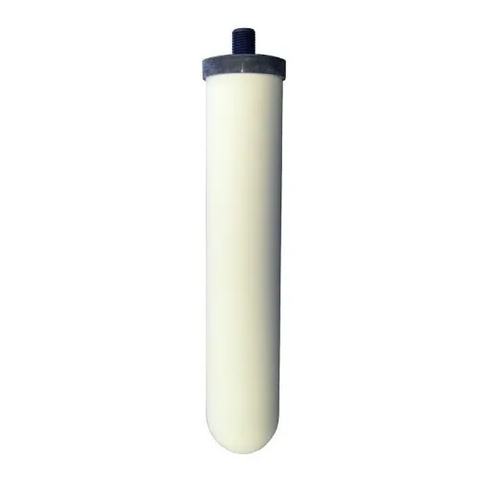 Filtro Repuesto Aguasana Purificador De Agua Ceramic