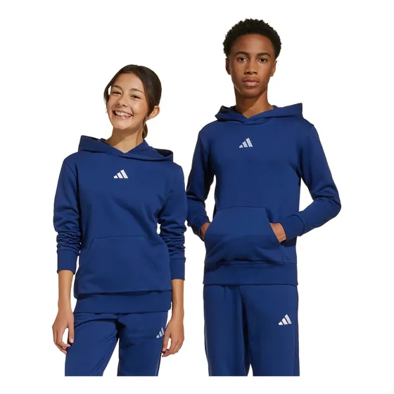 Polerón adidas Casual Essentials Niños Azul Jy0612