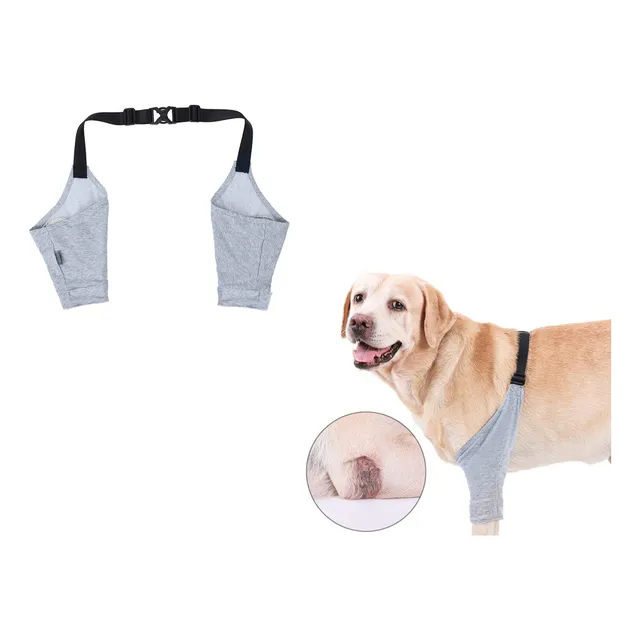 Codera Para Perros, Antilamidas, Para Aliviar El Dolor, Codo