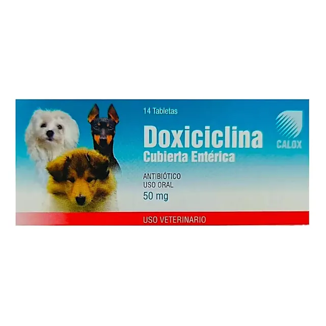 Calox Doxiciclina 50mg 14tab Antibiótico Perros Y Gatos