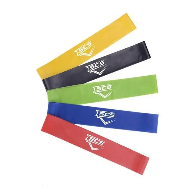 Banda Resistencia Elite Ejercicio Bolsa Para Casa Juego