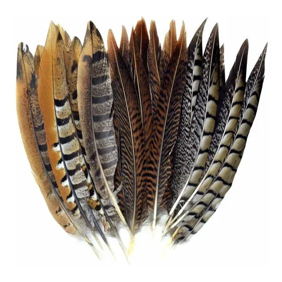 Obmwang Pluma Faisan Natural In Para Idades,ecoracion S