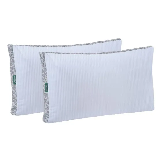 Combo 2 Almohadas Nativa Dalia Fibra 70x40 Color Blanco