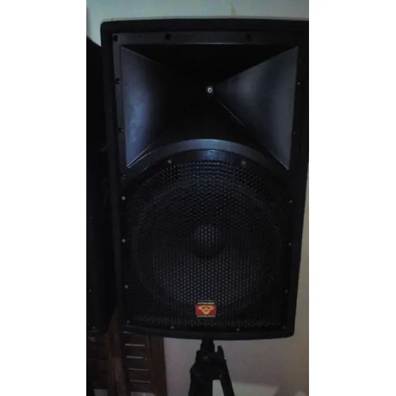 Corneta Profesional Pasiva Cerwin Vega Int-152 Con Soporte.