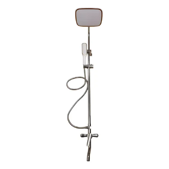Duchero Con Soporte Barral De Ducha Monocomando Baño Color Gris Inox
