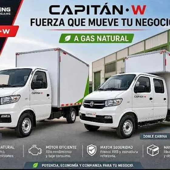Captain W Gnv