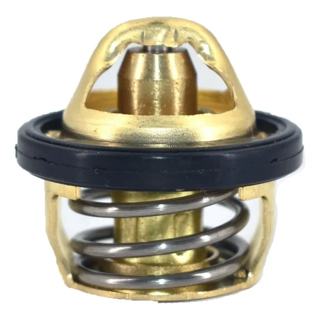 Termostato Benelli Trk502 Leoncino 500 502  A M