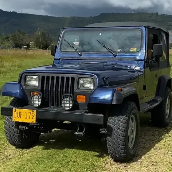 Jeep Wrangler 1992 4.0 Lwd